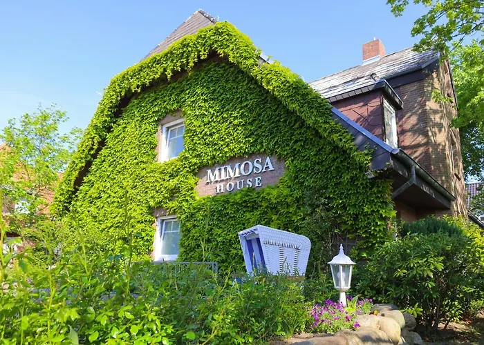 Mimosa House
